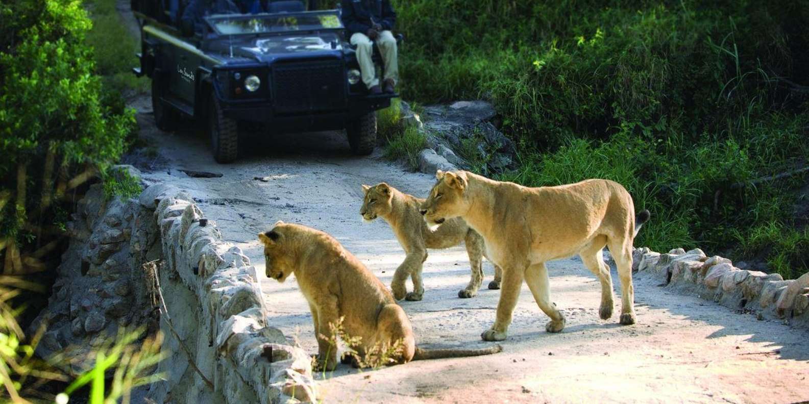 1/2 Day Private Tour Tala Game Reserve & Natal Lion Park - Wildlife Experience