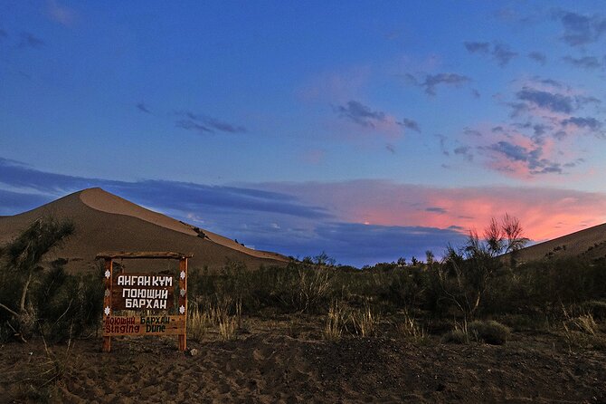 1 Day Express Tour: Altyn Emel National Park - Singing Dune Experience