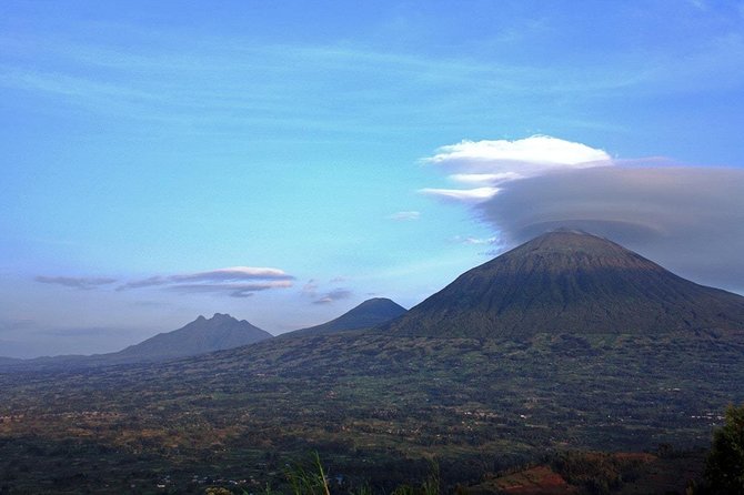 1 Day Gorilla Trekking Volcanoes National Park - Lunch and Cultural Immersion