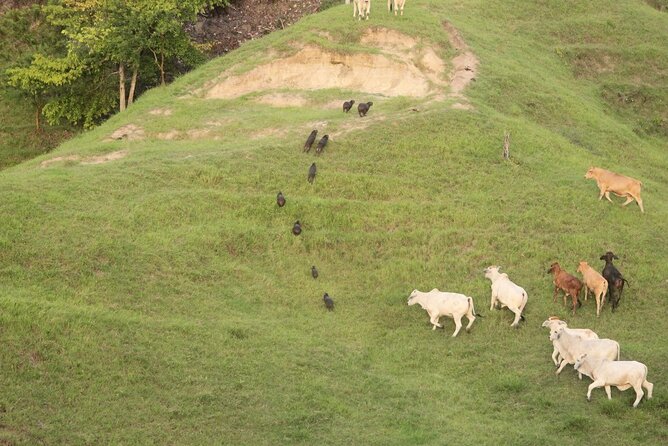 1 Day Horseback Riding at a Real Ranch From Medellin - Exploring the Ranch and Trails