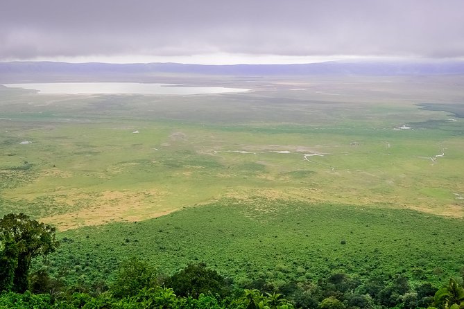 1 Day Joined Group Safari in Ngorongoro Crater National Park - Wildlife Viewing Opportunities