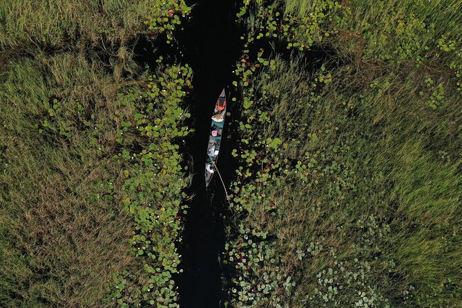 1 Day Okavango Delta Mokoro/Canoe Daytrip - Wildlife Encounters