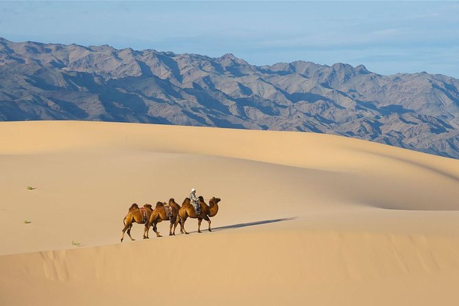 1 Day Semi-Gobi Tour Including Lunch And Free Camel +Bonus Khustai National Park - Pickup and Departure Details