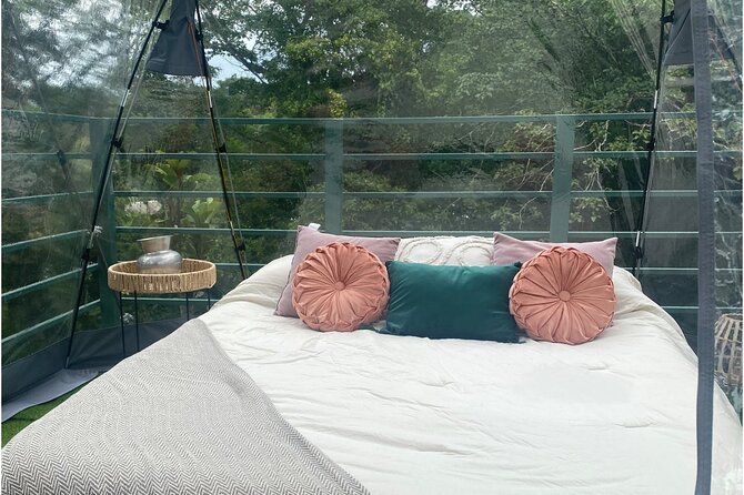 1 Day Tree Climbing and Rappelling Experience With Accommodation - Key Information at a Glance