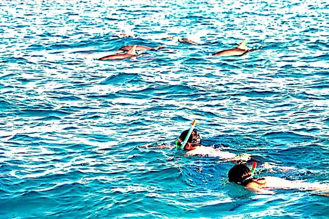1 Day Wasini Island ( Kisite Marine Park) - Accessibility Features