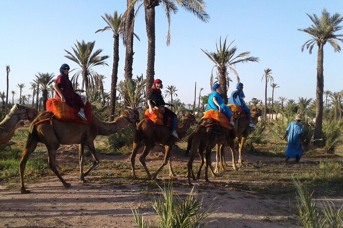 1-Hour Camel Ride in La Palmeraie Marrakech With Hotel Pick up - Health and Safety Information