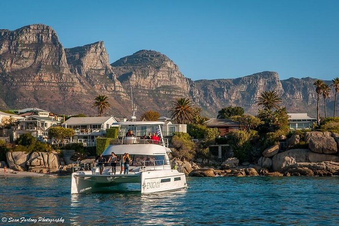 1 Hour Coastal Catamaran Cruise From Cape Town - Guest Reviews and Ratings