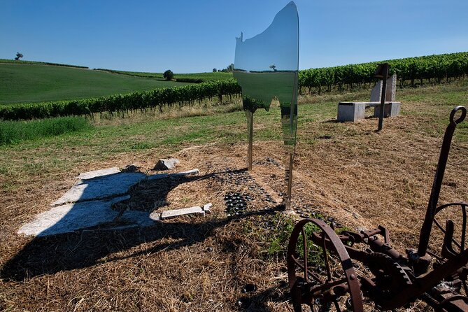 1-Hour Experience With Brunello. Visit to the Vineyard and Cellar - Scheduled Start Time and Availability