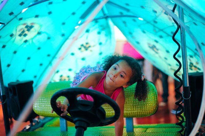 1 Hour Lady Buggy Art Tour Experience in Wynwood - What to Expect During the Tour