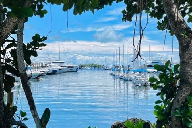 1 Hour Miami Private Boat Ride With Champagne - Customer Reviews
