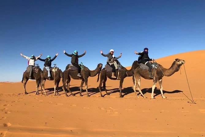 1 Night Camel Trekking Tour in Merzouga Desert Camp - Itinerary and Activities