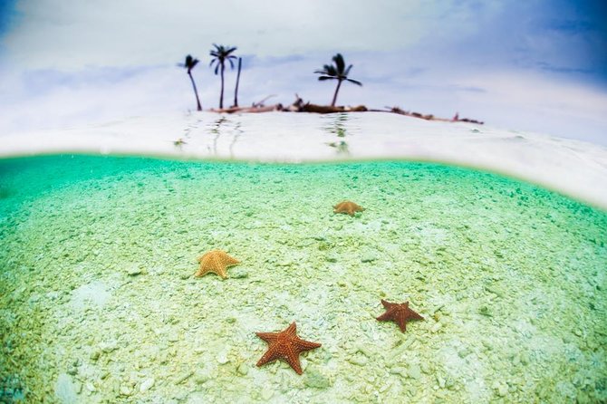 1- or 2-Night Experience in San Blas Islands - Guidance and Accessibility