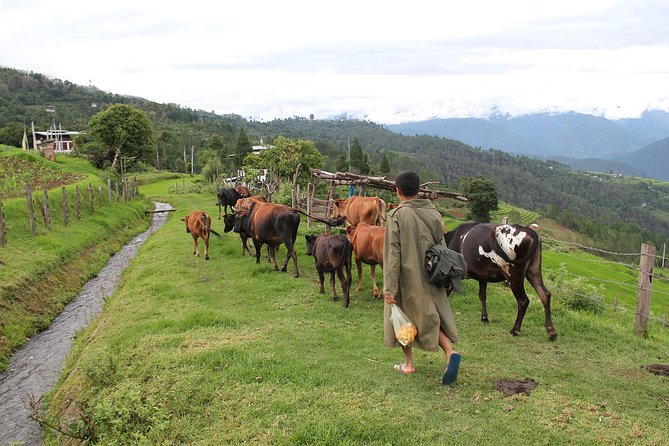 10 Days Essence of BHUTAN - Exploring Punakha