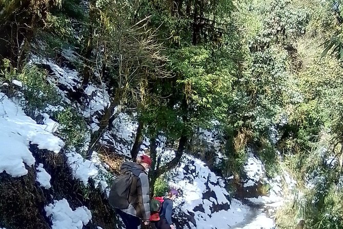 10 Days Nepal Trip - Heritage Kathmandu - Natural Pokhara and Poon Hill Trek - Exploring Natural Pokhara