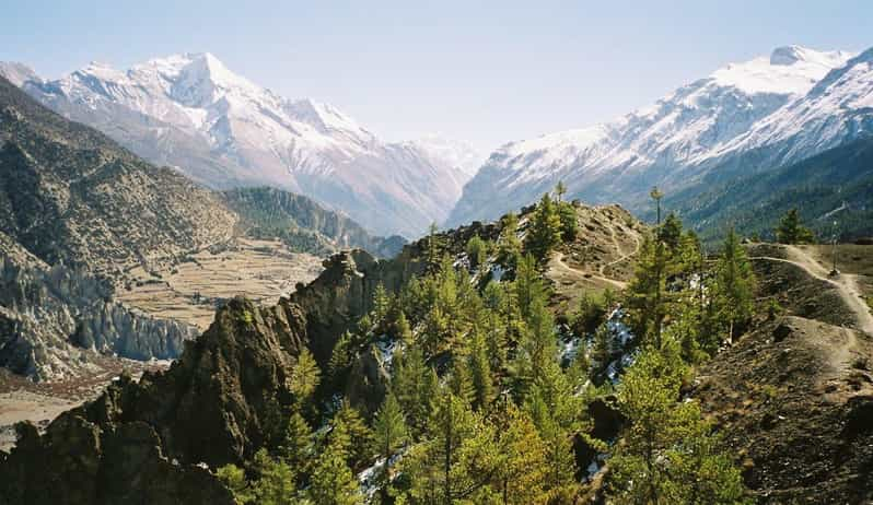 11 Days Langtang Valley Trek - a Trek to the Scenic Valley - Included Services