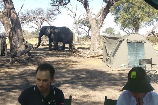 13 Day WILDERNESS TRAIL: Best Of Northern Botswana -WildCamping + Victoria Falls - Victoria Falls Adventure
