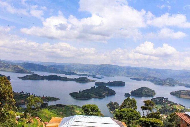 15 Day Gorillas, Chimps and Big 5 Safari Tour - Inclusions and Exclusions
