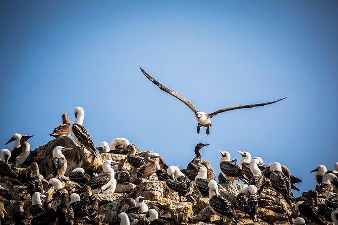15 Days Enigmas of the South From Lima - Altitude Precautions