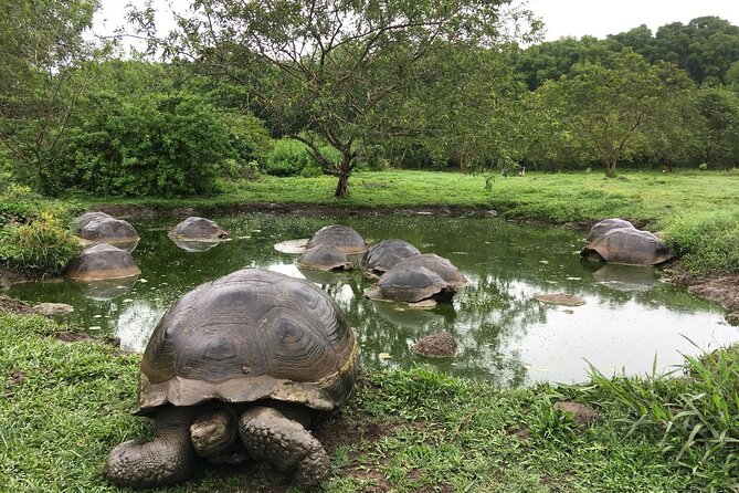 16-Day Ecuador Adventure: Andes, Amazon & Galapagos - Reservation Requirements