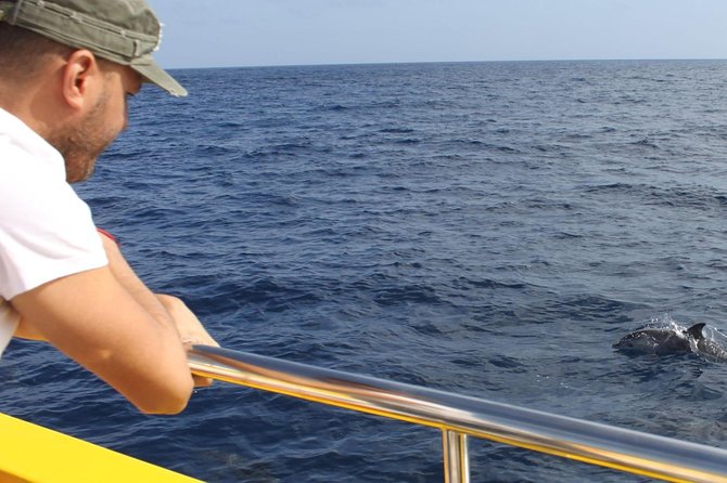 2.5-Hour Lanzarote Sunset Cruise From Marina Puerto Del Carmen - Efficient Logistics and Inclusions
