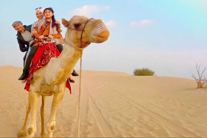 2-Day Abu Dhabi and Dubai City Tour With Desert Safari - Logistics and Inclusions