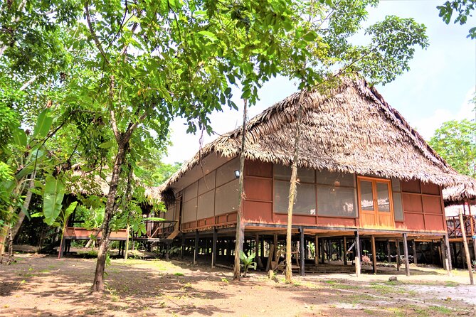 2-Day Amazon Jungle Tour at Avatar Amazon Lodge - Meal and Beverage Details