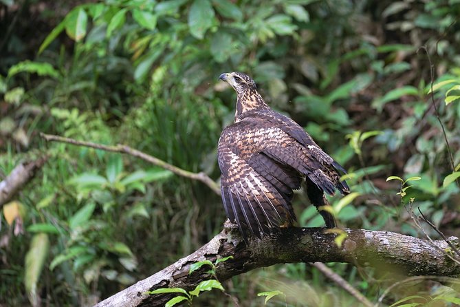 2-Day Camping Tour to Pacaya-Samiria National Park From Iquitos - Booking and Cancellation