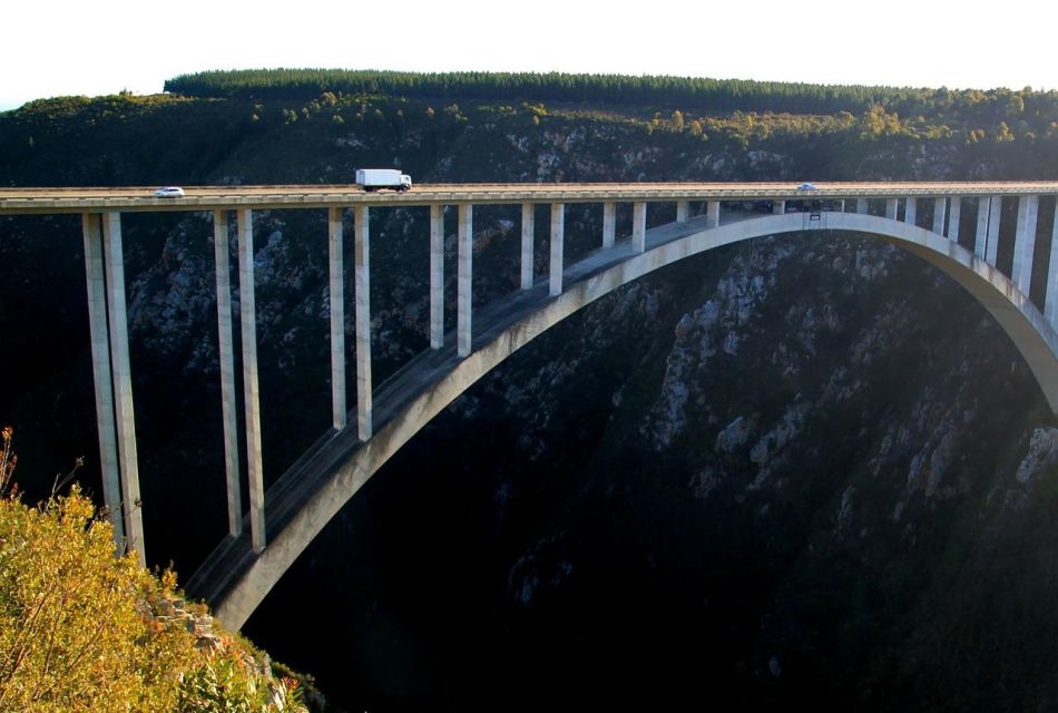 2-Day Garden Route Bungee Jump, Zipline & Shark Diving Tour - Bungee Jumping at Bloukrans Bridge