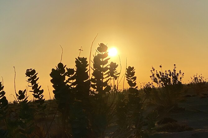 2-Day Overnight Desert Experience - Bedouin Campfire Experience