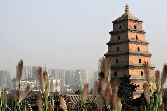 2-Day Private Classic Xian City Tour From Beijing by Bullet Train - Day 2 Itinerary Highlights