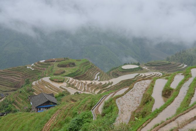 2-Day Private Tour: Classic Li River Cruise and Longji Terrace Tour - Customer Reviews