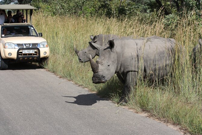 2-Day Safari Tour in Kruger National Park - Tour Itinerary Day 2