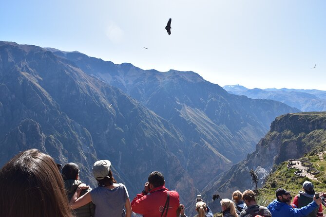 2-Day Tour to the Magical Colca Canyon - Day 1 Activities