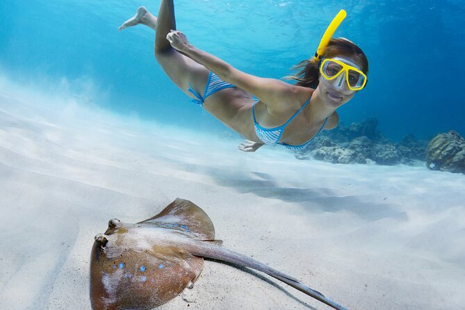 2 Days/1n Trip - Snorkeling With Manta Rays in Lembongan/Penida (All Included) - Good To Know