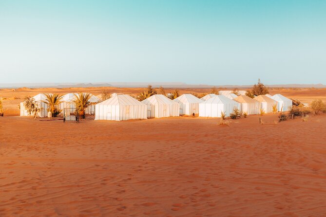 2 Days Desert Private Luxury Couples Retreat Camel Trek + Quad - Trekking Experience