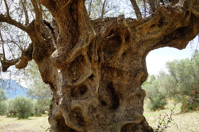 2 Days Private Tour: Sparta - Mystras - Mycenae - Epidaurus & Corinth - Accessibility