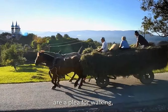 2 Days Private Tour Transfagarasan Road & Sibiu (June - October) From Bucharest - Itinerary Highlights