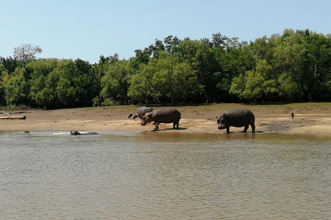2 Days Saadani National Park From Zanzibar - Wildlife Sightings