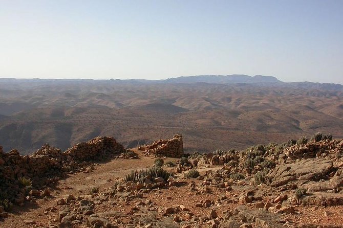 2 Days Trip in a Small Group From FEZ to FEZ Passing by MERZOUGA - Customer Reviews