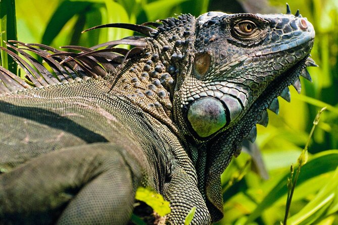 2 Hour ATV Experience From Guanacaste - Frequently Asked Questions