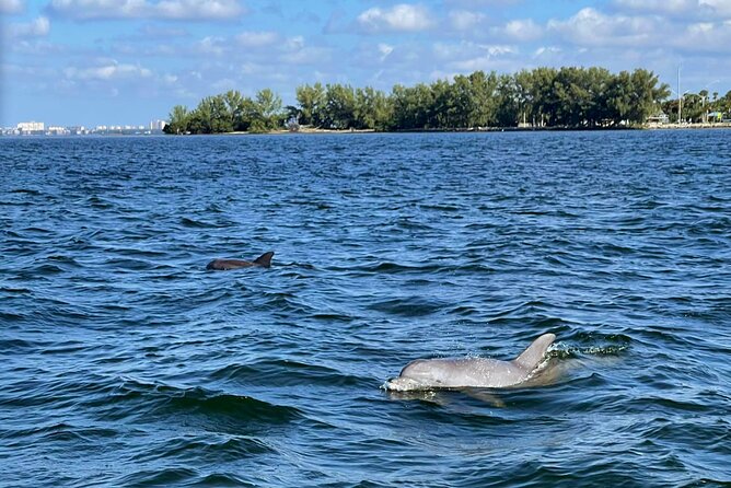 2-Hour Dolphin Watching Tour in Florida - Inclusions and Exclusions