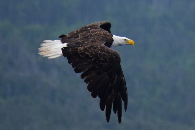 2-Hour Guided Boat Tour From St. Johns - Customer Feedback and Experiences