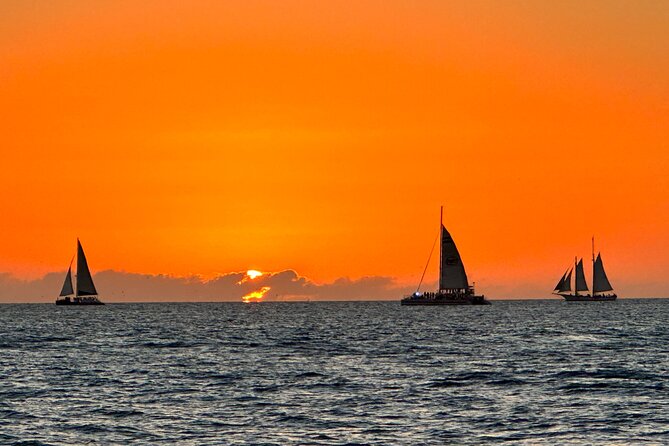 2 Hour Private Dolphin and Sightseeing Tour in Shell Island - Customer Experiences