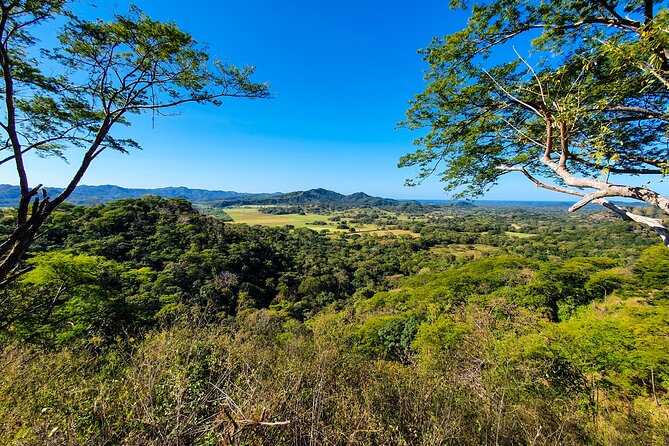 2 Hours ATV QUAD in Sta Rosa Tamarindo - Scenic Routes and Terrain