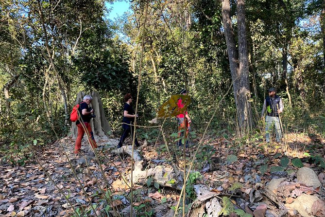 2 Hours Nature Walk in Chitwan National Park - Pickup and Meeting Details