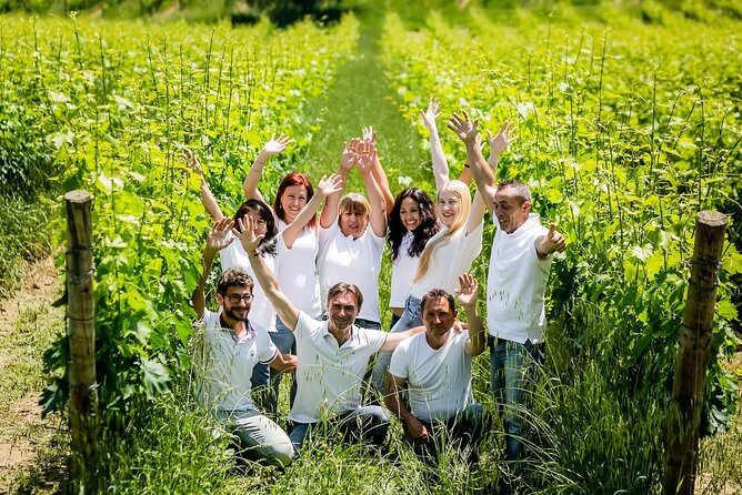 2 Hours Visit and Wine Tasting With Tastings in Val DORCIA - What to Expect