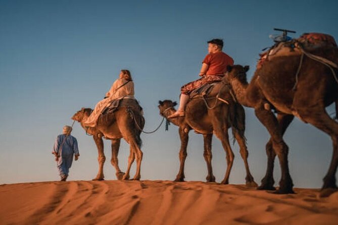 2 Nights in Luxury Camp and Camel Trekking in Merzouga Desert - Pricing and Special Offers