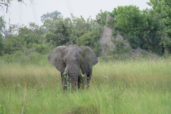 2 Nights Okavango Delta Mokoro Wildcamping Tour, All-Inclusive - Inclusions and Amenities