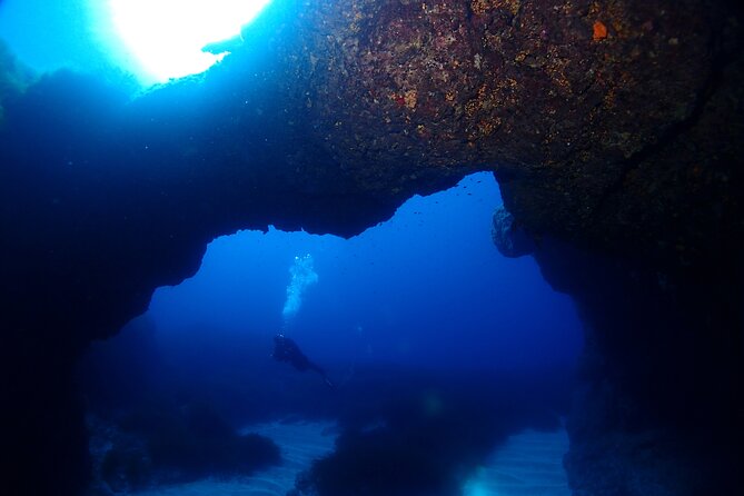 2 Scuba Fun Dives for Certified Divers in St Pauls Bay - Customer Feedback and Reviews
