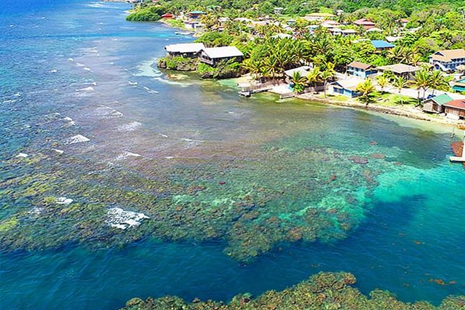 2 Tank Roatan Fun Dive, Boat Sightseeing Tour, Including Ground Transportation - Customer Reviews and Ratings